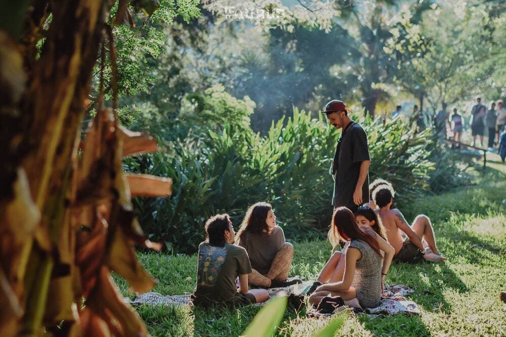 Roda de veluders na grama, sol entre as folhas